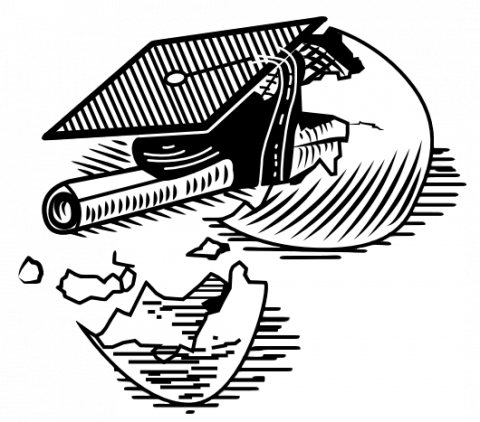 Hatching Results - Demo